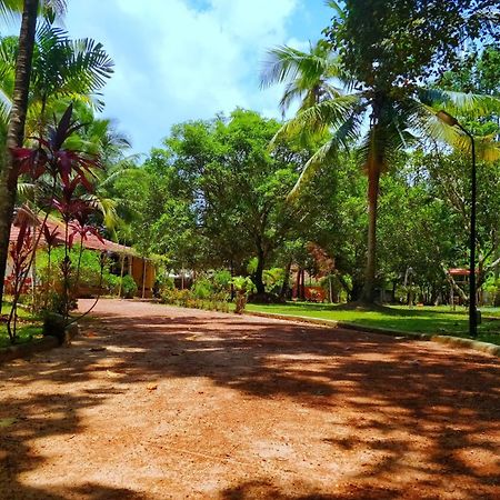 Palathra Heritage Mararikulam Exteriör bild