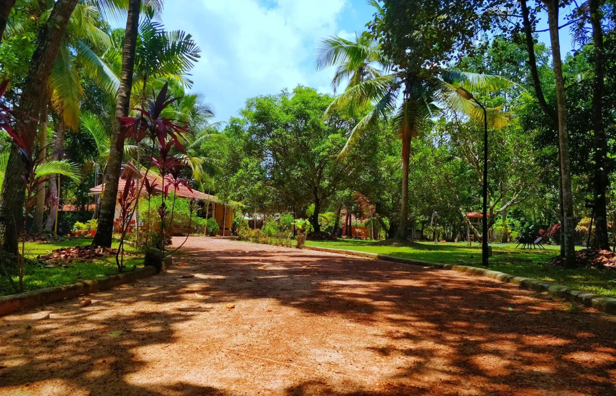 Palathra Heritage Mararikulam Exteriör bild